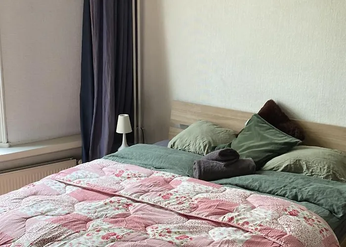 Vintage Lange Haven Guest house Schiedam